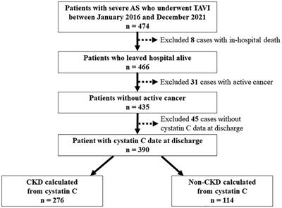 Impact of cystatin C-derived glomerular filtration rate in patients undergoing transcatheter aortic valve implantation